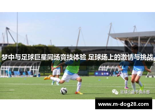 梦中与足球巨星同场竞技体验 足球场上的激情与挑战