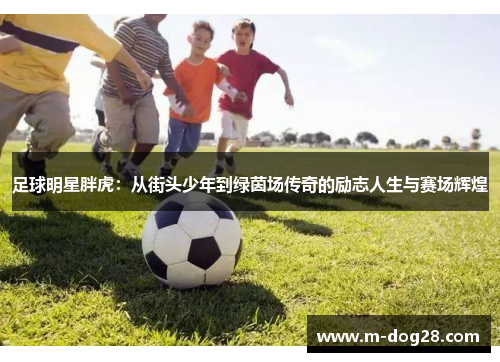 足球明星胖虎：从街头少年到绿茵场传奇的励志人生与赛场辉煌