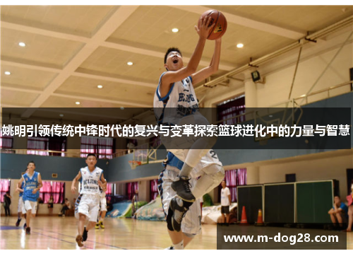 姚明引领传统中锋时代的复兴与变革探索篮球进化中的力量与智慧