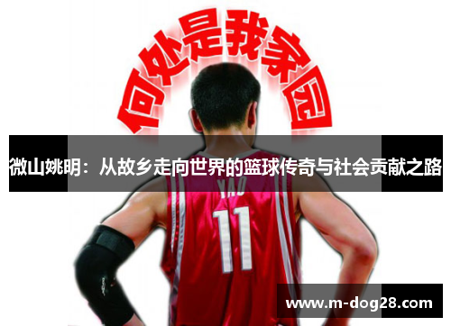 微山姚明：从故乡走向世界的篮球传奇与社会贡献之路