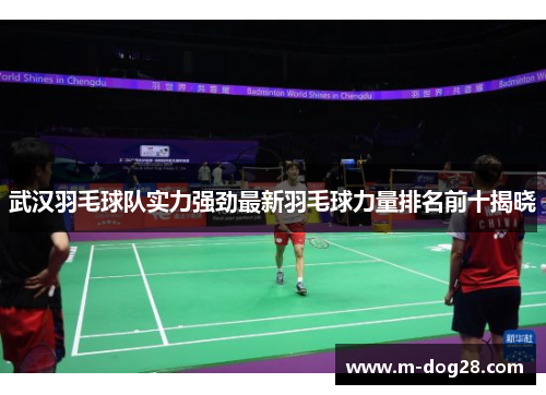 武汉羽毛球队实力强劲最新羽毛球力量排名前十揭晓