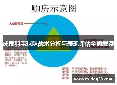 成都羽毛球队战术分析与表现评估全面解读