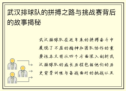 武汉排球队的拼搏之路与挑战赛背后的故事揭秘