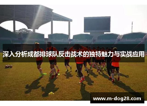 深入分析成都排球队反击战术的独特魅力与实战应用