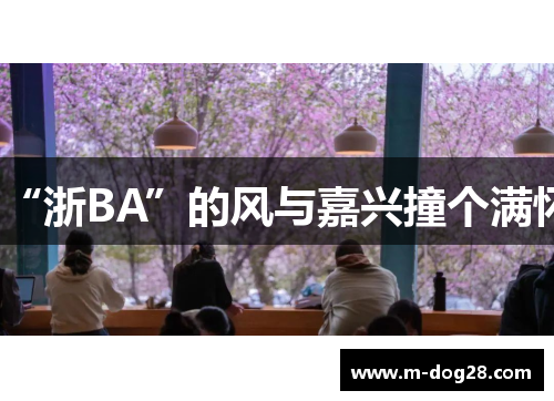“浙BA”的风与嘉兴撞个满怀