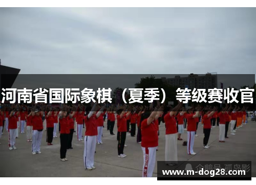 河南省国际象棋（夏季）等级赛收官
