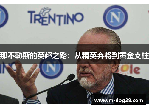 那不勒斯的英超之路：从精英弃将到黄金支柱